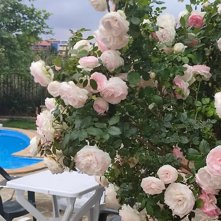 созополски рай Apartamento