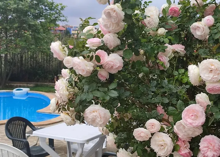 созополски рай Apartamento