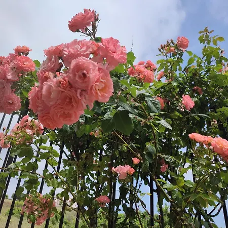 созополски рай Sozopol